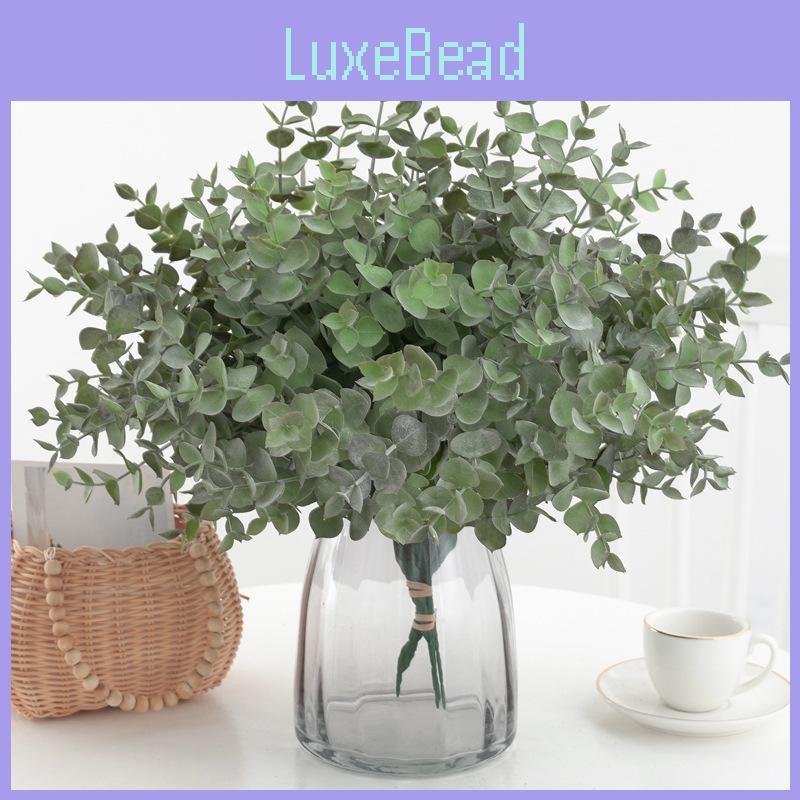 Eucalyptus Plant Globulus Foliage For Home Enhancement Photography Prop