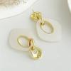 Salircon Vintage Geometric Irregular Resin Drop Earrings Women Exaggerated Exquisite Retro Wedding Party Jewelry Ear Accessories