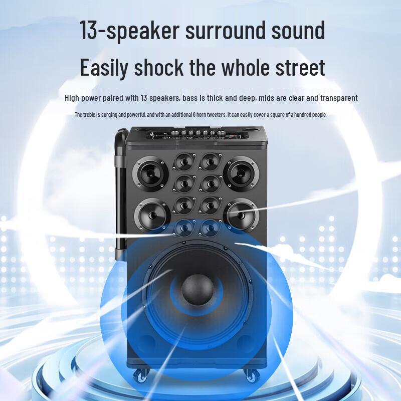 SAST All-in-One Karaoke System with Display & Dual Mics CN plug (adapter included) (CN version)