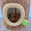Squirrel Rabbit Tree Stump Shape Hammock Small Animals Hamster Nest New Hang Beds