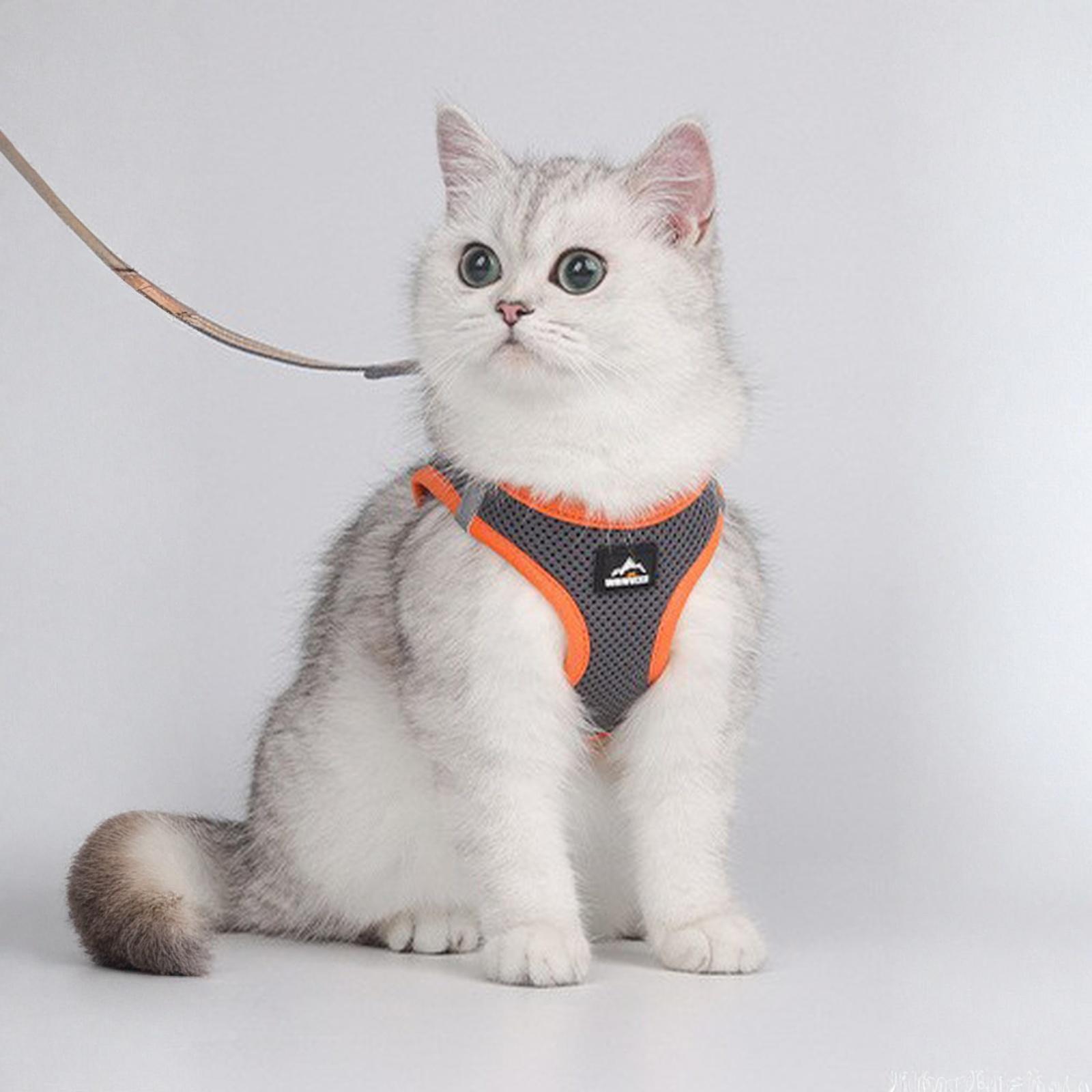 

Joytale Шлейка-жилет для маленьких собак, дышащая сетка, застежка-липучка, светоотражающая, мягкая, с подкладкой, для прогулок, размер S XS