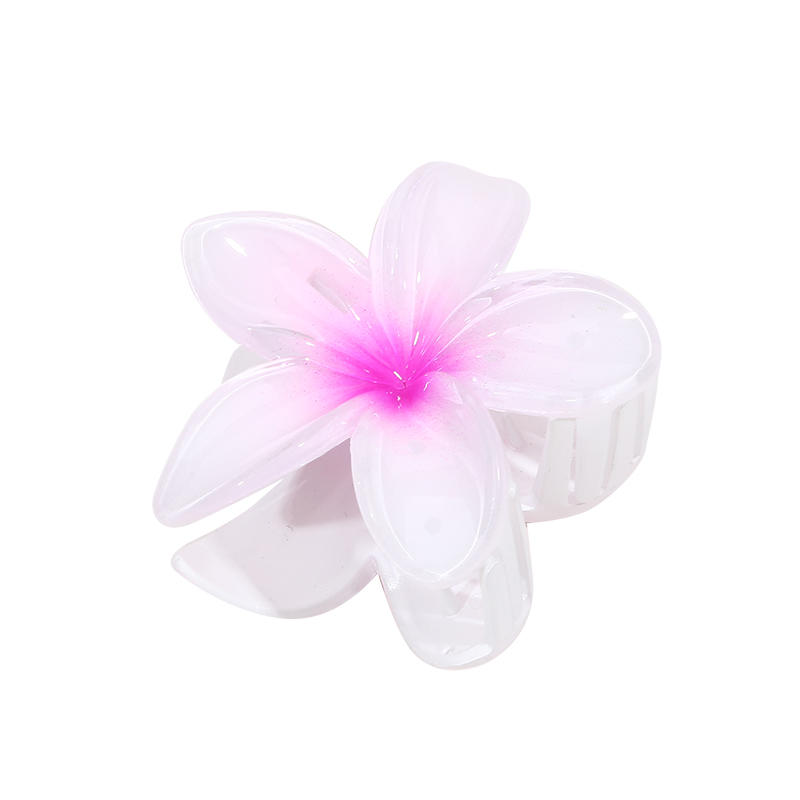 2/5Pcs Gradient Hair Clips New Flower Hair Claws Small Size Fashion Headwear Hairpin Crab Barrette Hair Accessories for Women