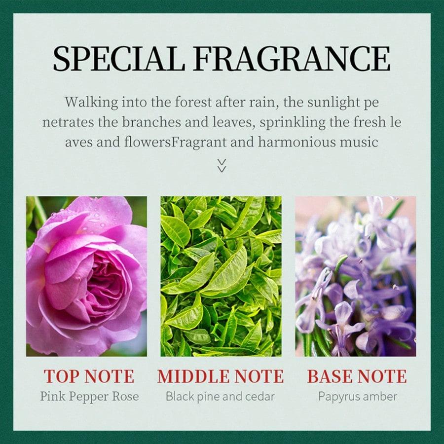 3PCS Christmas Hand Cream Gift Box Moisturizing Anti-Cracking Minimizes Dryness Fine Lines Smooth Tender Nourish Hands Women Mom Wife Sister