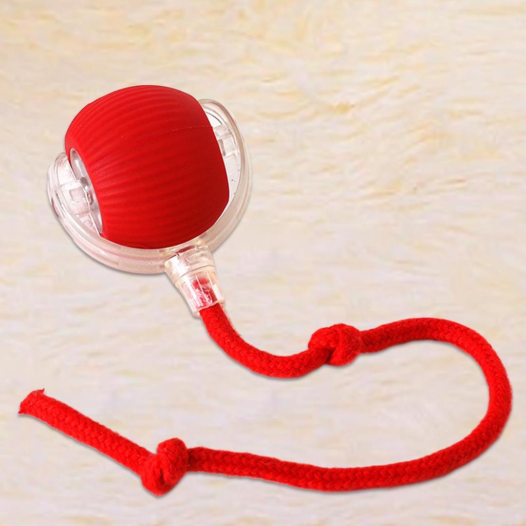 New Cat Interactive Ball Toy,Automatic Rolling Cat Ball Rechargeable,Smart Kitten Interactive Toy,Intelligent Balls Toy for Cat