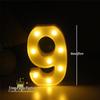 LED Happy Birthday String Lights for Party & Photo Decoration