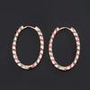 Large Circle Earrings Popular Micro-Set Oval Large Earrings Earrings