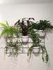 Modern Metal Wall Flower Stand Hedera 2 Black - Large Flower Trellis for Walls, Modular Plant Panel Vertical Garden with 5 Hoops 15