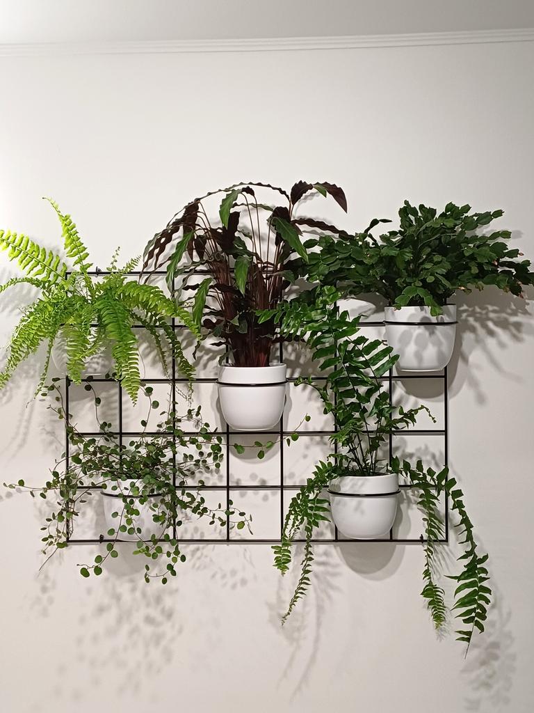 Modern Metal Wall Flower Stand Hedera 2 Black - Large Flower Trellis for Walls, Modular Plant Panel Vertical Garden with 5 Hoops 15