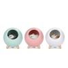 1Pc Cute Pet House Night Light Usb Charging Bedside Desktop Ambient Light Children's Bedroom Led Bluetooth Speaker Desk Lamp