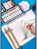 12/24 Color Chinese Ink Painting Set for Beginner and Elementary Art Students