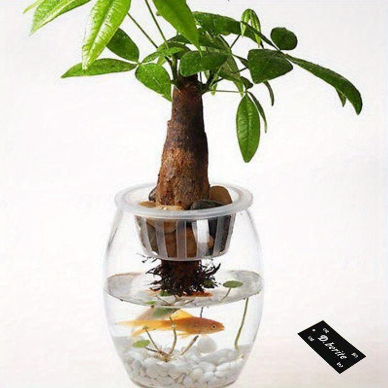 5 ცალი პლასტმასის ბადის ქოთნები ბადე კლონირების კალათა ჰიდროპონიკური აკვარიუმის ჩასმა მცენარეების ზრდის ყვავილების ქოთნის უჯრა ბაღის მასალები