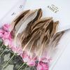 50Pcsdiy Jewelry Accessories Feather Diy Feather Headdress Corsage Hat Shoes Handicrafts Decorative Materials