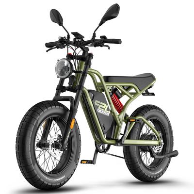 Electric Bike Adult FAFREES 20" 750W Motor Full Shock Absorption Ebike 48V 25AH Max Range 140Km Load 130Kg F20 Ultra
