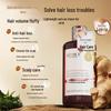 Zhuolanya Ginger Anti-Hair Loss Shampoo
