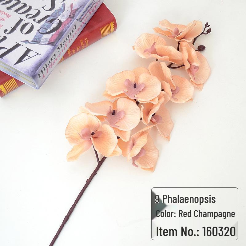 9-Head Phalaenopsis Orchid for Home, Project Landscaping, or Wedding Decoration
