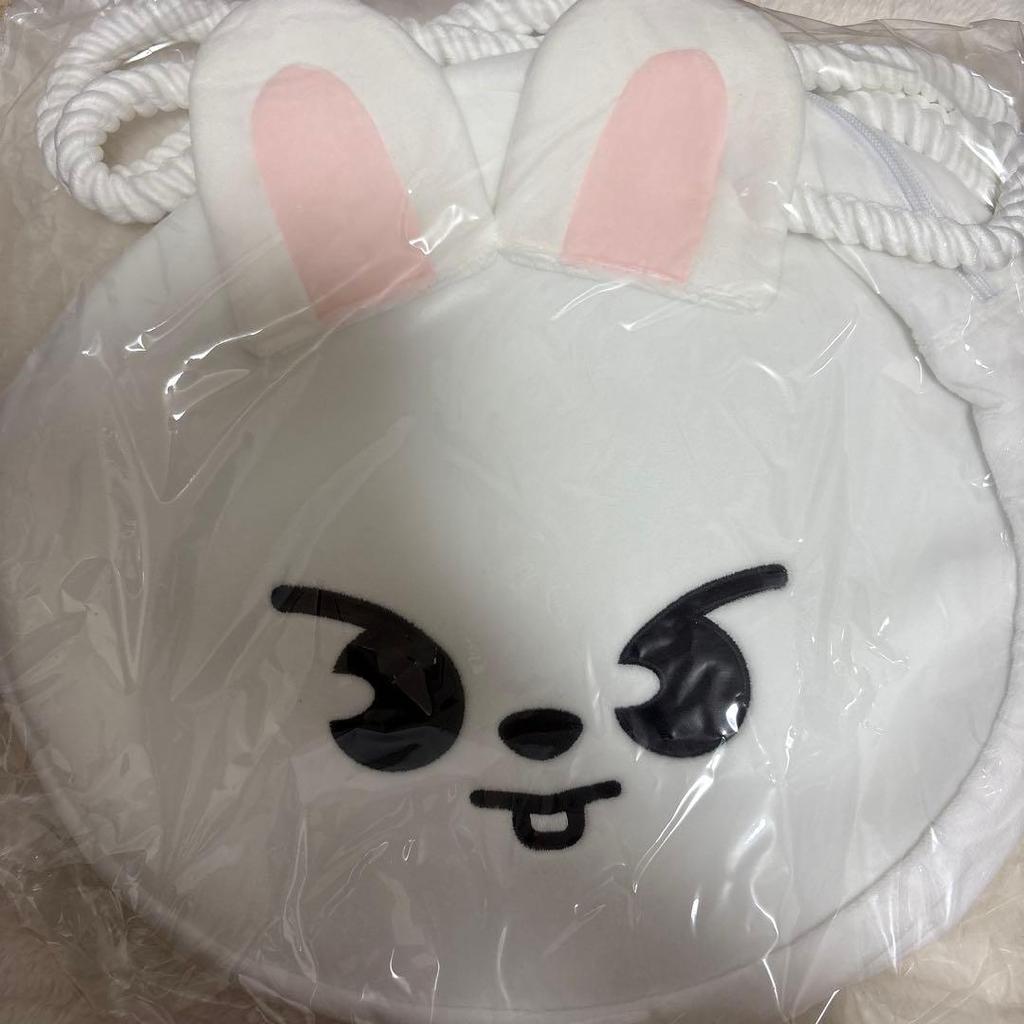 [USED] Skzoo Tote Bag Levit Straykids Reno