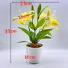 Brownii Lilium Var Viridulum Baker Potted Plant For Living Decor Room