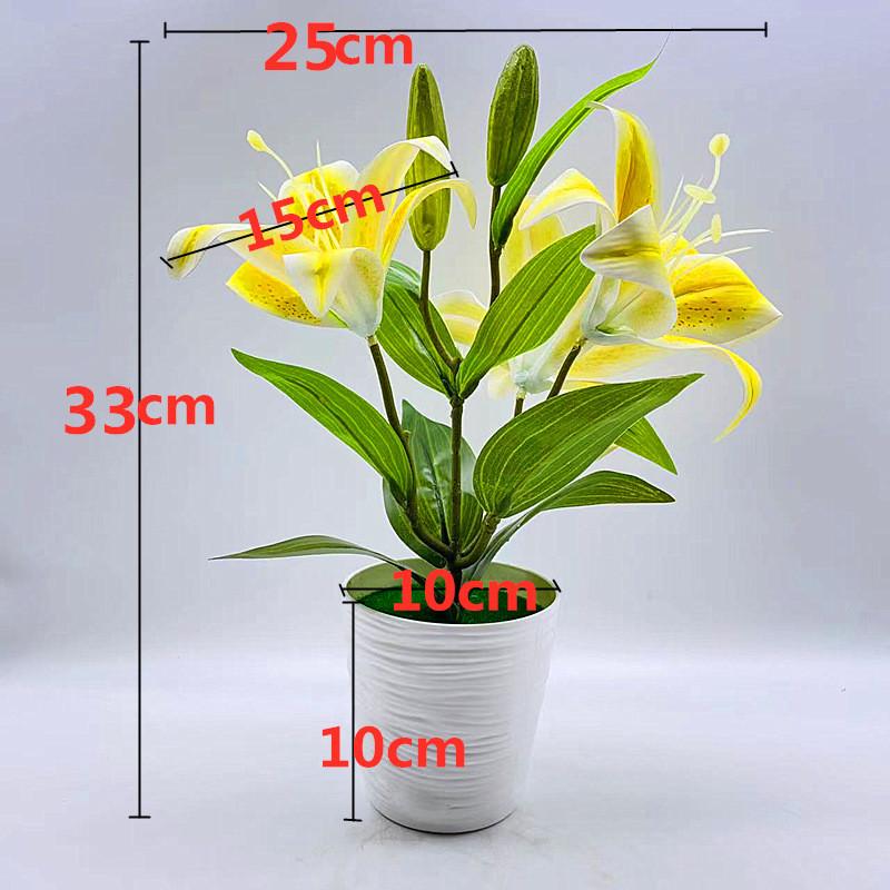 Brownii Lilium Var Viridulum Baker Potted Plant For Living Decor Room