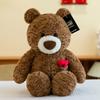 Cartoon Love Danielle Bear Plush Toys Children's Birthday Gift Teddy Bear Home Pillow Confession Doll