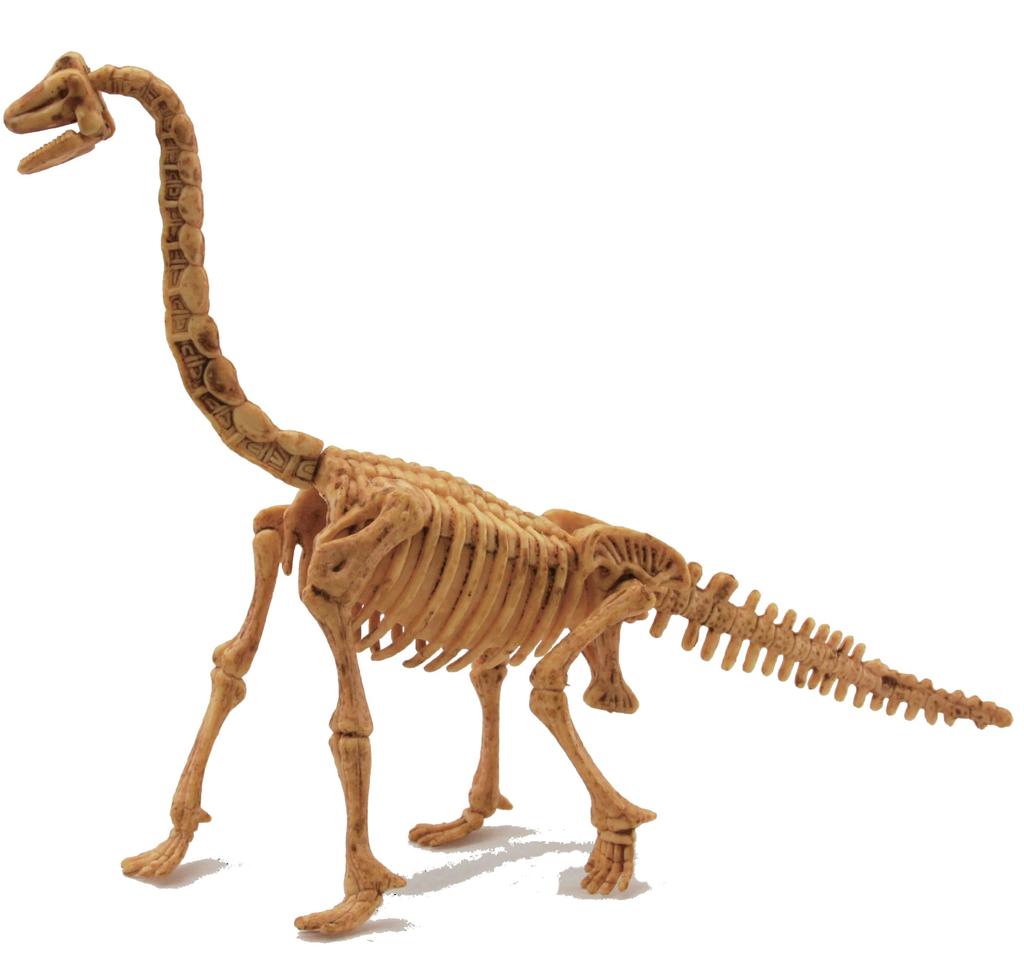 Yamasan Dino Fantasy Wykopaliska Dinozaurów Brachiosaurus Długość Całkowita 26cm 520323-3