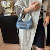 High-end niche bag women's summer new fashion chain messenger bag pleated portable dumpling bag