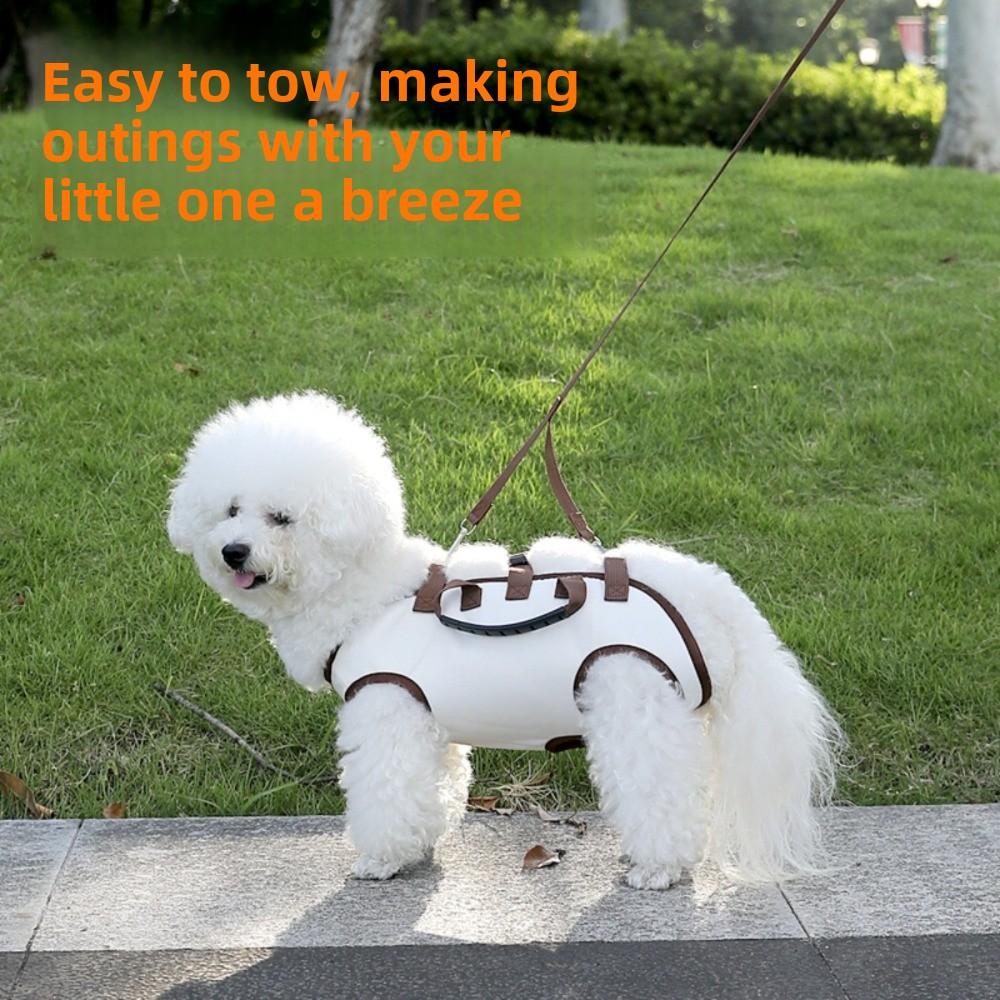 Breathable Dog Full Body Lift Harness Adjustable Pet Carrier  for Hiking Daily Use