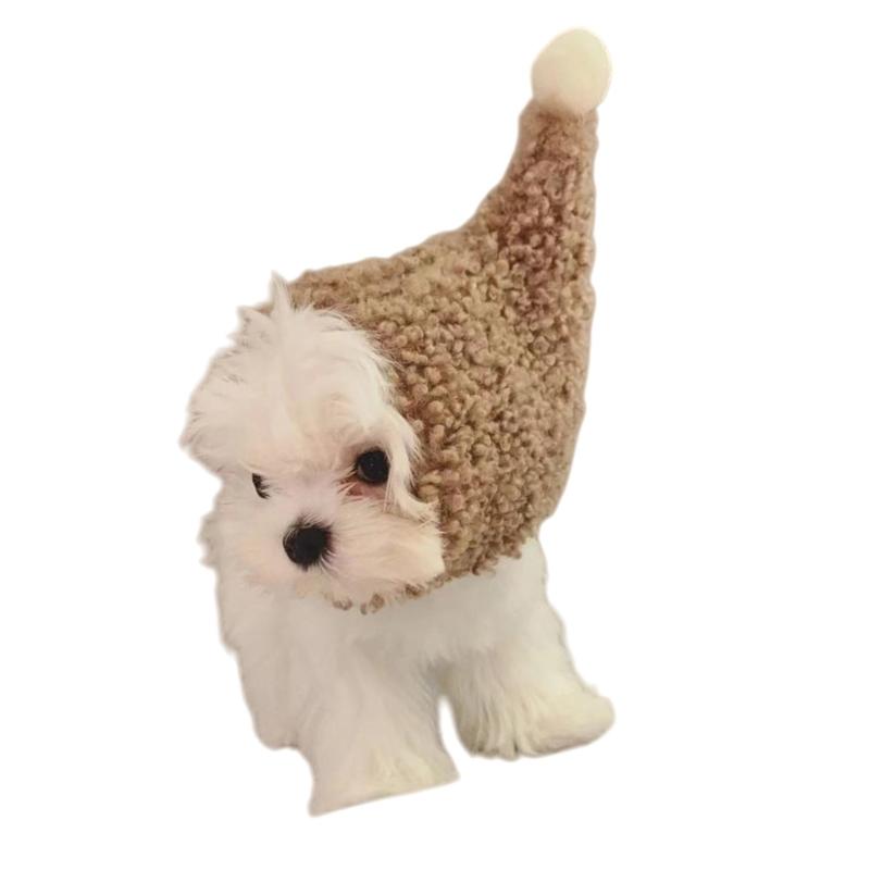 

MXLA Witch Cap For Small Animals Easy To Wear Adjustable Fleece Pet Dog Hat For Christmas and Halloween Gatherings Accessories CN