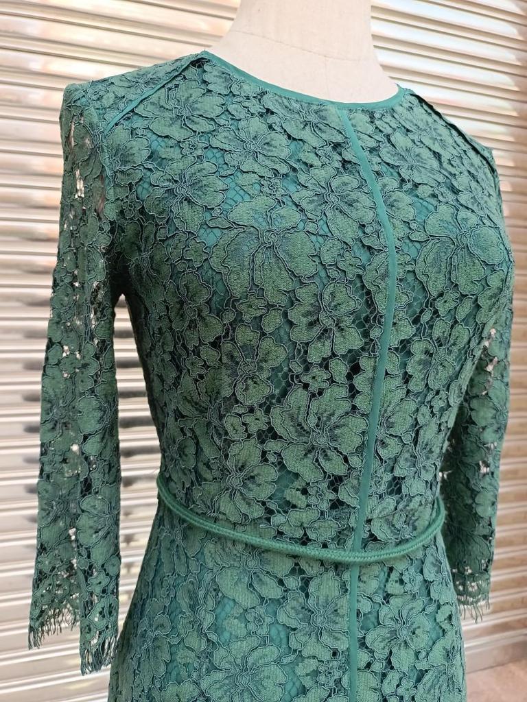 Plus Size Youthful Eyelash Lace Dress - Spring/Autumn Hip-Hugging Casual Style