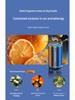 Starry Sky Smart Car Aromatherapy: Long-lasting, Light Fragrance High-end Perfume Ornament