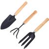Kit de jardinage 3 pièces - AIMOONSA - Mini - Poignée ergonomique antidérapante - Acier carbone - Manche bois
