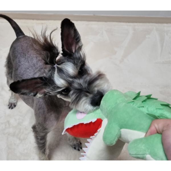 Petnus Pet Animal Farm Nosework Doll 45 x 12 x 14 cm, Crocodile, 1 piece