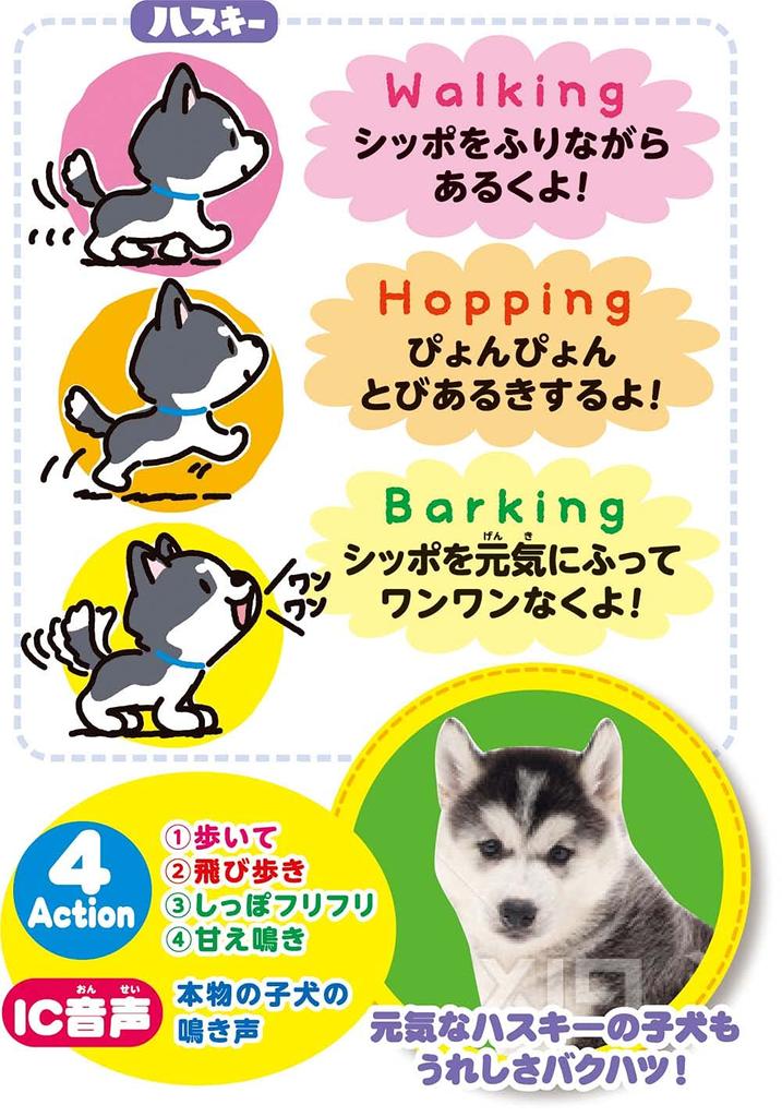 Iwaya Electric Animal Dog Plush Exploding with Welcome Woof ST Mark Ages 3 and Up (IWAYA) Toy, Joy! Husky, Certified, Battery-Operated,