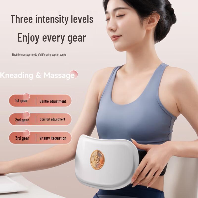 CHIGO Wireless Waist & Abdomen Kneading Massager CN plug (adapter included)