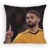 Matheus Cunha Pillow Case Antidustmite Pillowcase Invisible zipper silky Sofa cushion cover for bedroom