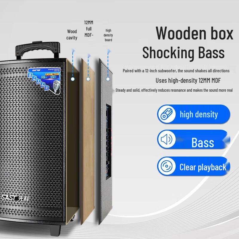 SAST SA-122 12-inch Portable Karaoke Speaker