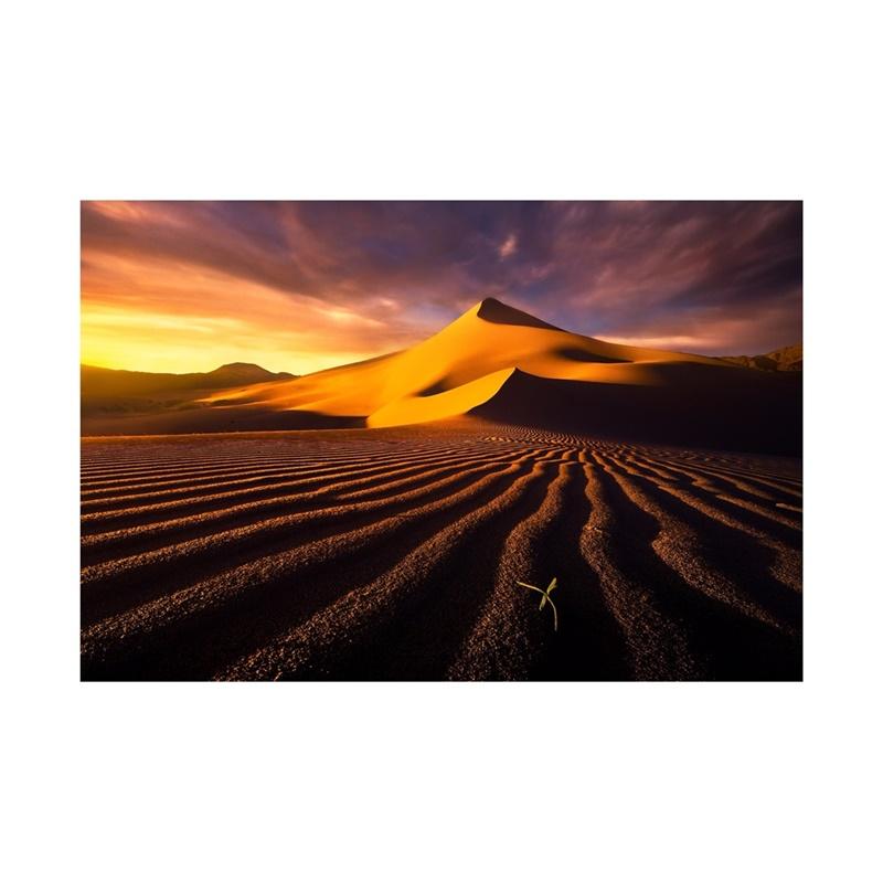 Desert Series Photography Background Natural Scenery Backdrop Photo Backdrop Studio Supplies Props Home Decor