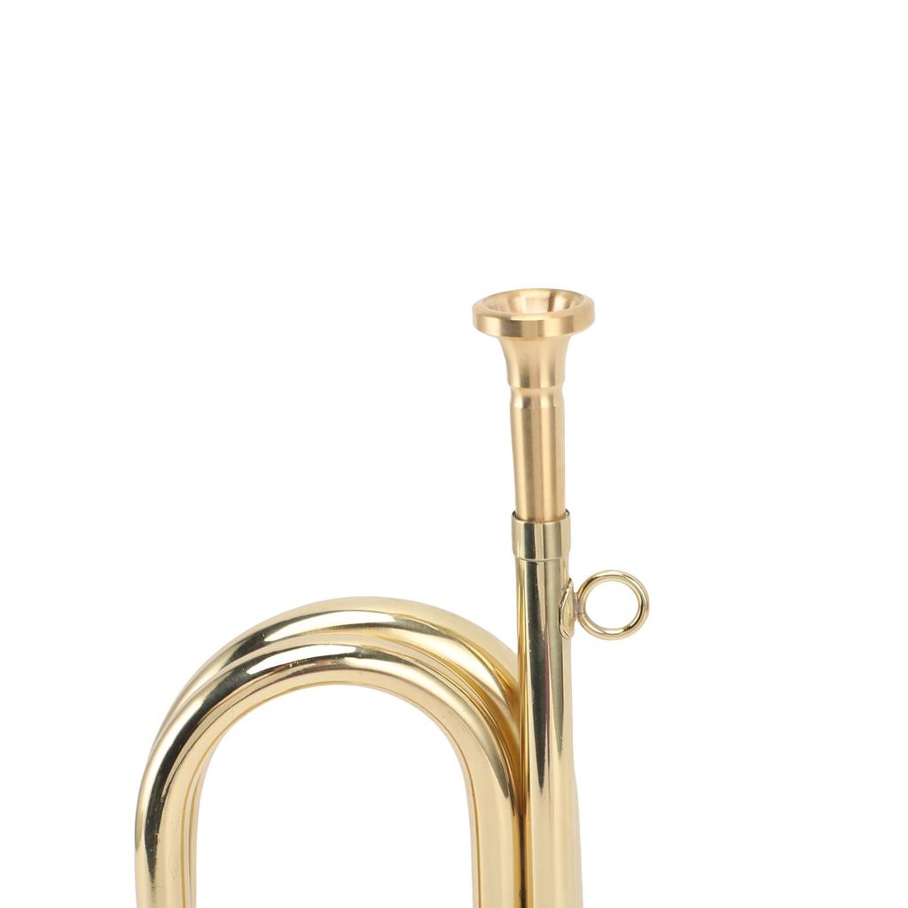 Fockety B-Trompete, Standard Messing Taschen trompete, Professionelles Instrument mit Handschuh, Reinigungstuch, Anfänger-Mundstück, für Schülerband