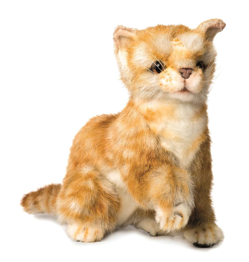 

BH6492 HANSA Cat Pup Рыжий 20