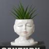 Gardening Cartoon Character Succulent Flower Pot Ceramic Hand-Painted Creative Desktop Flower Device