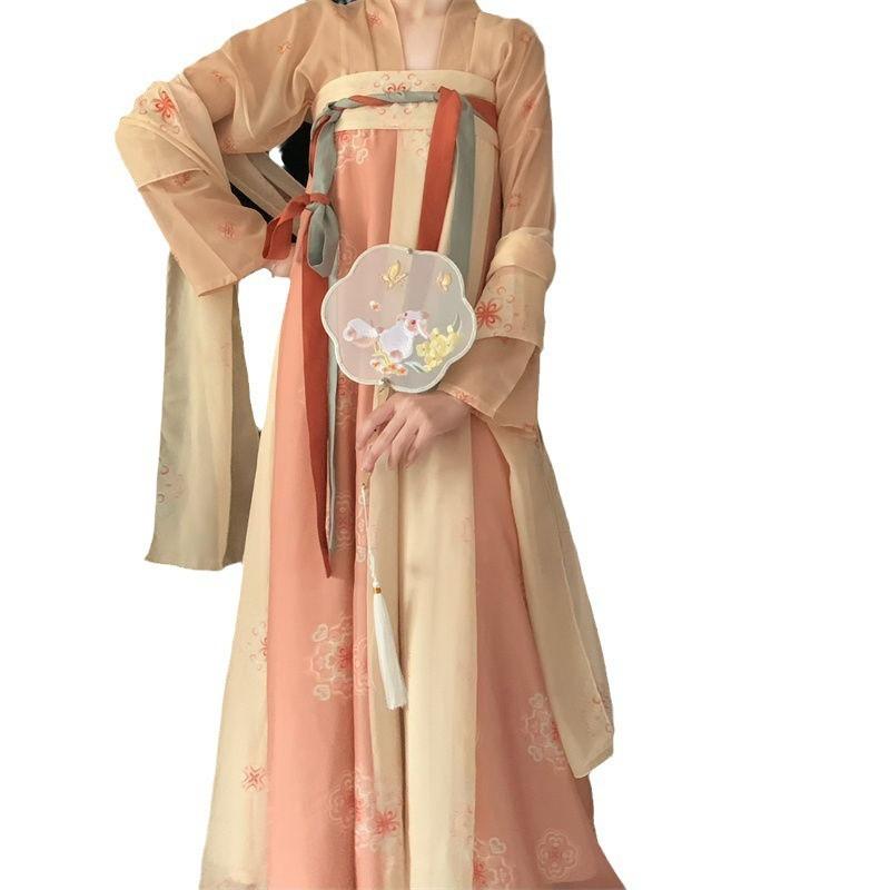 Womens Tang Dynasty Style Hanfu Dress With 3D Printed Wrap Skirt Chiffon Outfit