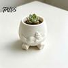 Gift for Plant Lovers 3D Printed Face Planter Pot with Cat Design, Decorative Succulents Pot, Small Desktop Creative Resin Flowerpot Indoor