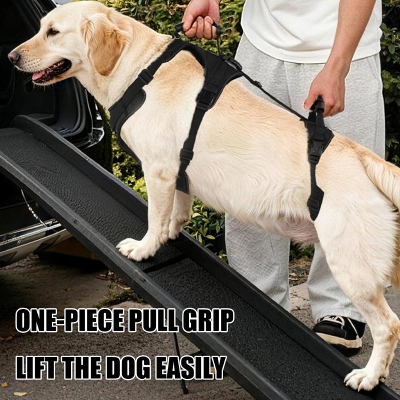 Two-Part Dog Support with Front Walking Section, Rear Support Section, and Side-Release Buckles for Daily Use