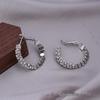 Silver Needle Circle Earrings, Fashionable High-End Copper Ear Hoops, Light Luxury, Versatile Jewelry Accessory.