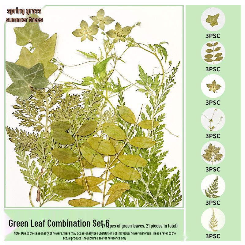 Handmade Pressed Flower Bookmark and Epoxy Sticker Pack with Real Leaf and Plant Specimens for DIY Face Makeup.