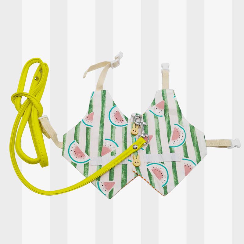 Cute Japanese Korean Style Pet Clothes & Leash for Rabbits and Cats