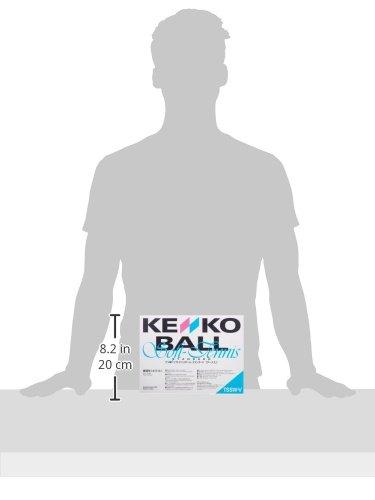 Nagase Kenko Soft Tennis Balls, Standard White, 1 Dozen (12 balls) TSSW-V