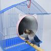 Bird Mirrors for Cage Plastic Mirror with Metal Hanging Hook 5.9 Inch Diameter Keeping Birds Occupied and Engaged