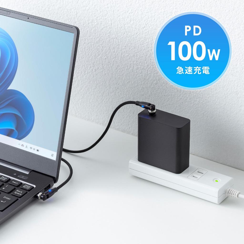 SANWA SUPPLY USB Rotating Cable with Double Black 2.0 Type-C 540-Degree Connectors, (100W, 1m) KU-CCP100KAW10BK