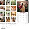 2026 Wall Calendar Golden Retriever Planner Calendar, Hangable Monthly Wall Calendar with Large Blocks for Organizing & Planning, Academic Schedule,