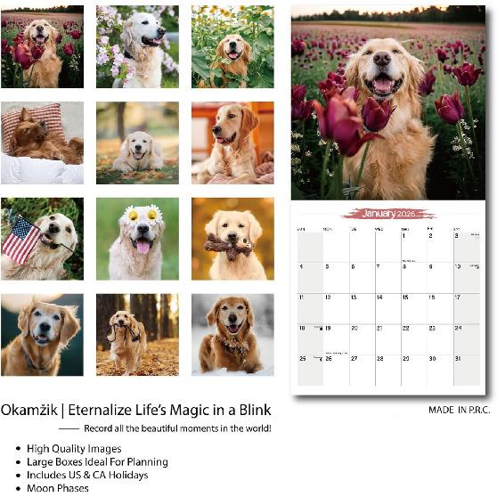 2026 Wall Calendar Golden Retriever Planner Calendar, Hangable Monthly Wall Calendar with Large Blocks for Organizing & Planning, Academic Schedule,